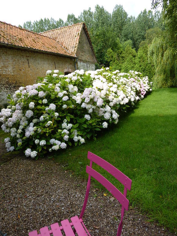 Le Moulin De Tigny Bed & Breakfast エクステリア 写真